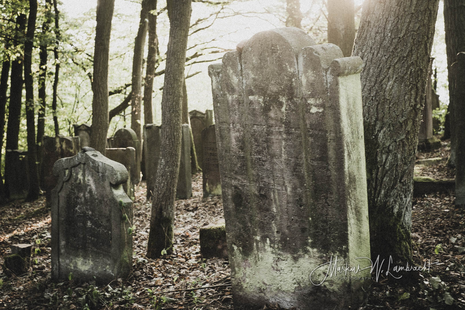 Rotenburg an der Fulda